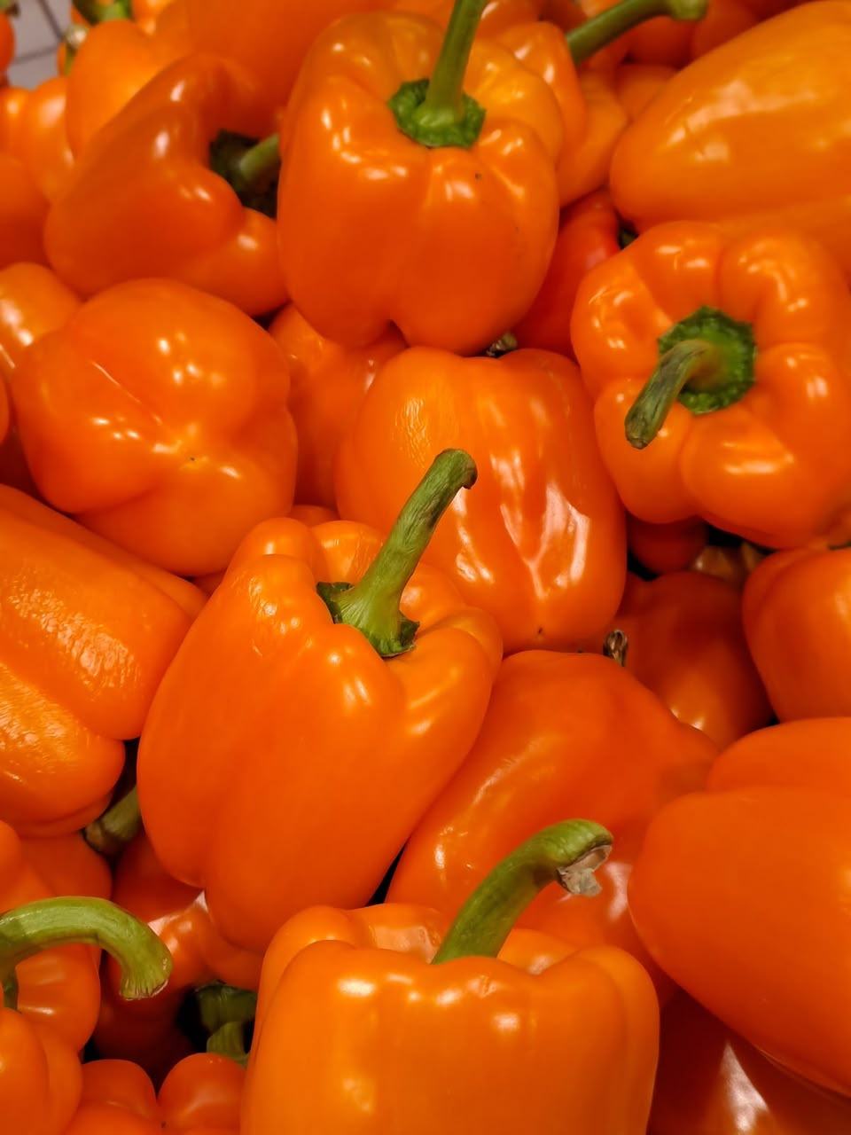 Orange Bell Peppers
